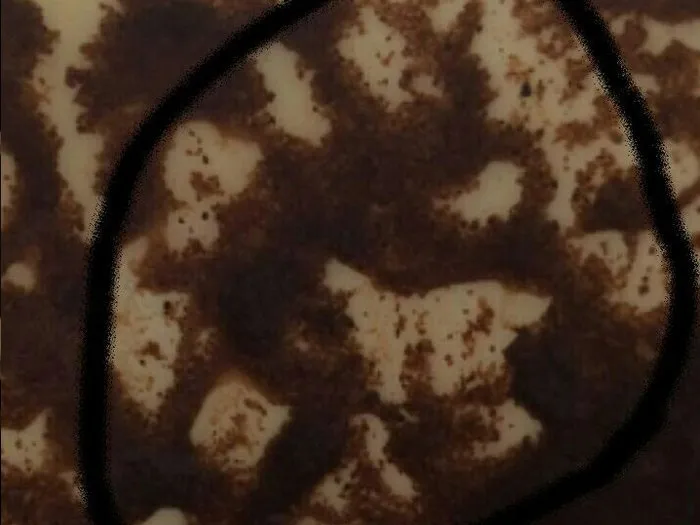 Запись на прием к гадалке в Тольятти